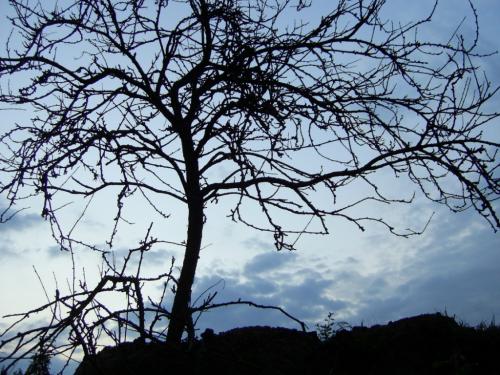 Fotografia de Ska_Wiking - Galeria Fotografica: San Miguel 07 - Foto: Atardecer