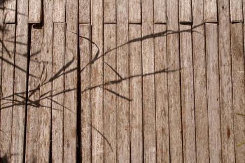 Fotografia de Pieyro - Galeria Fotografica: Eternal - Foto: Wood and shadow