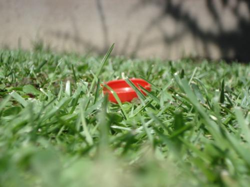 Fotografia de Sin nombre - Galeria Fotografica: Al cruzar el tnel... - Foto: El tapn perdido								