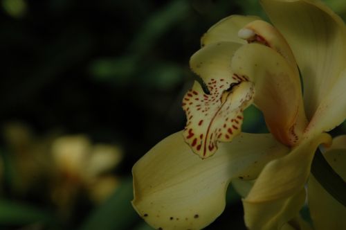 Fotografia de Chema - Galeria Fotografica: Belleza natural - Foto: Mirada indiscreta