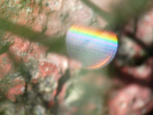 Fotografia de jhews - Galeria Fotografica: pura vida - Foto: arco iris en una gota