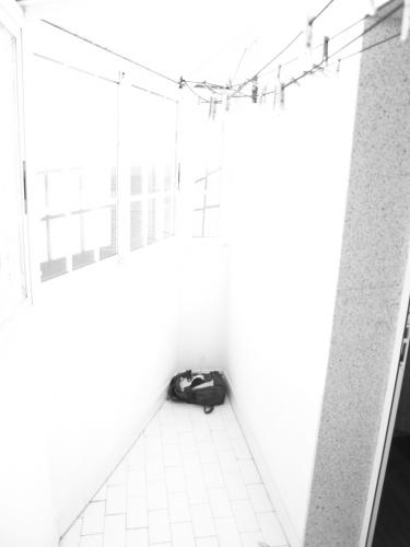 Fotografia de Studio Digital - Galeria Fotografica: Mejorando mi tecnica. - Foto: Quemda