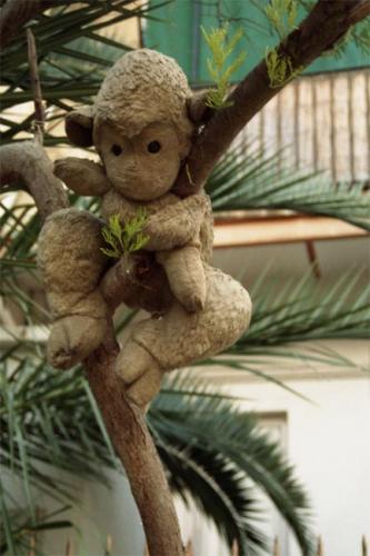 Fotografia de Gerard Girbes - Galeria Fotografica: Momentos urbanos de Barcelona (1 de 2) - Foto: Monito