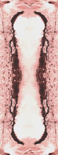 Fotografia de pau - Galeria Fotografica: simetrias - Foto: 01