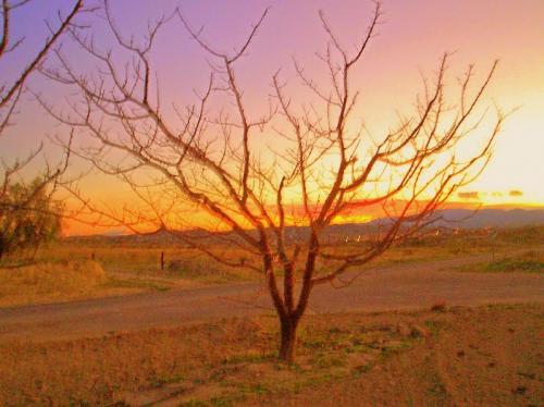 Fotografia de Quim Rizo - Galeria Fotografica: Instantes - Foto: 