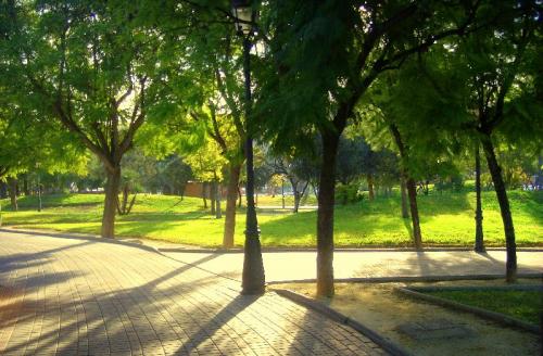 Fotografia de Quim Rizo - Galeria Fotografica: Instantes - Foto: 