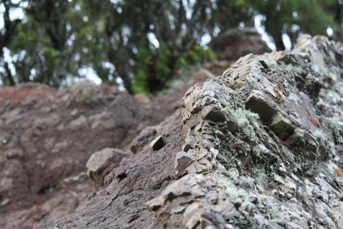 Fotografia de Germn - Galeria Fotografica: Las Mercedes - Foto: Piedra viva