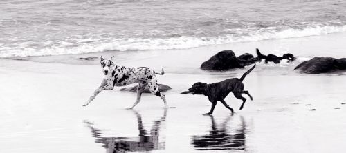 Fotografia de lago - Galeria Fotografica: fotografias 09 - Foto: 