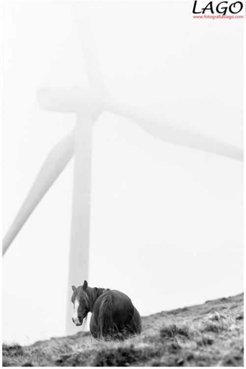 Fotografia de lago - Galeria Fotografica: fotografias 09 - Foto: 