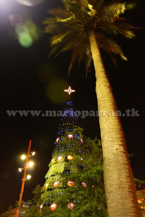 Fotografia de Mario Parra A. Fotograf�a y Edici�n Digital - Galeria Fotografica: Santiago - Foto: 