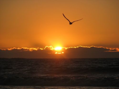 Fotografia de karina - Galeria Fotografica: Atardecer  - Foto: 