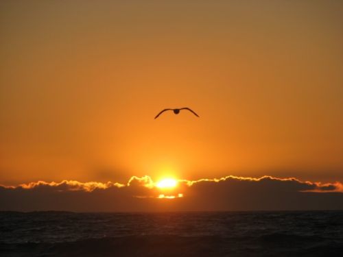 Fotografia de karina - Galeria Fotografica: Atardecer  - Foto: un hermoso atardecer 