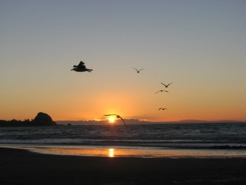 Fotografia de karina - Galeria Fotografica: Atardecer  - Foto: 