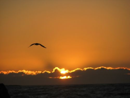 Fotografia de karina - Galeria Fotografica: Atardecer  - Foto: 