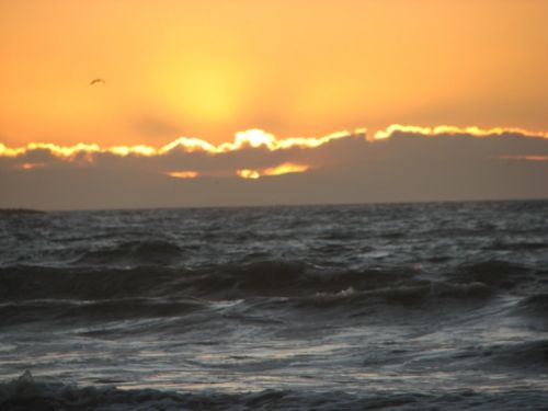 Fotografia de karina - Galeria Fotografica: Atardecer  - Foto: 