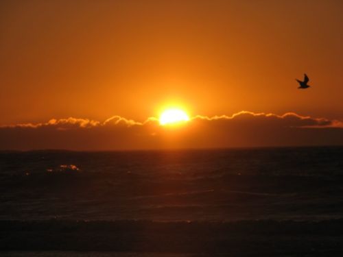 Fotografia de karina - Galeria Fotografica: Atardecer  - Foto: 