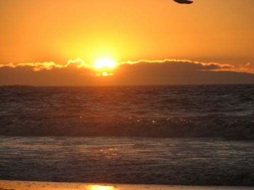 Fotografia de karina - Galeria Fotografica: Atardecer  - Foto: 