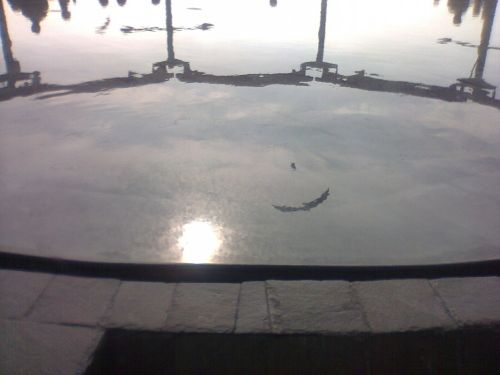 Fotografia de frewytrons - Galeria Fotografica: ma�ana hermosa - Foto: 