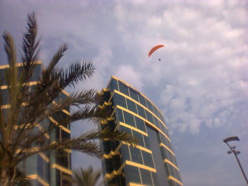 Fotografia de frewytrons - Galeria Fotografica: ma�ana hermosa - Foto: 