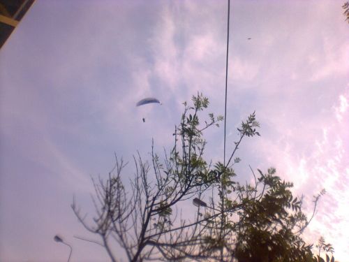 Fotografia de frewytrons - Galeria Fotografica: ma�ana hermosa - Foto: 