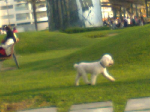 Fotografia de frewytrons - Galeria Fotografica: ma�ana hermosa - Foto: 