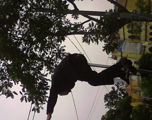 Fotografia de frewytrons - Galeria Fotografica: ma�ana hermosa - Foto: 