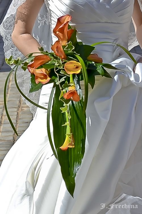 Fotografia de J.Frechina - Galeria Fotografica: Bodas - Foto: 