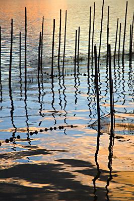 Fotografia de scar Snchez - Galeria Fotografica: viajes - Foto: Albufera II