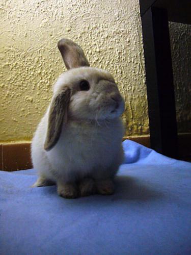 Fotografia de mtruso - Galeria Fotografica: Variado - Foto: Guapa