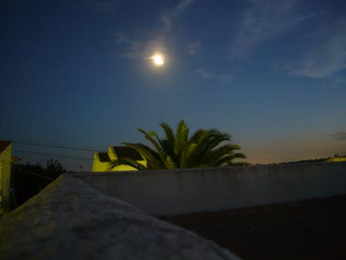 Fotografia de mtruso - Galeria Fotografica: Variado - Foto: La Nit