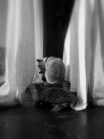 Fotografia de Cayetana - Galeria Fotografica: seleccin varias - Foto: cada loco con su tema