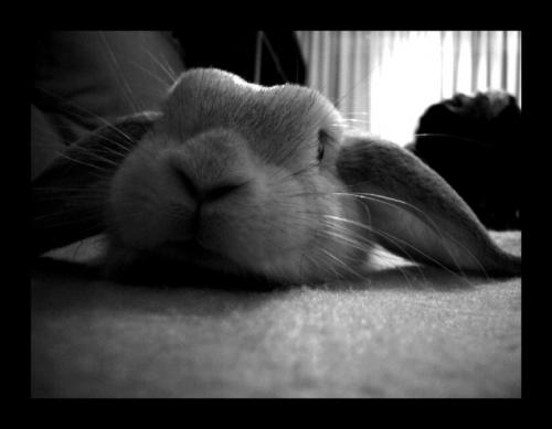 Fotografia de mtruso - Galeria Fotografica: Variado - Foto: Ella es as