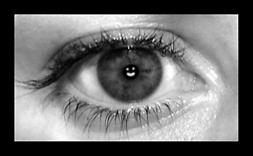 Fotografia de mtruso - Galeria Fotografica: Variado - Foto: Ull