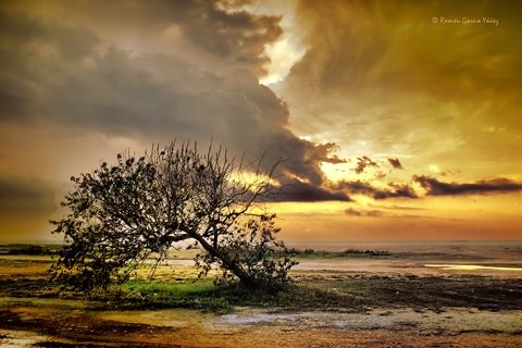 Fotografia de Yez - Galeria Fotografica: Soledades - Foto: 