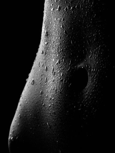 Fotografia de jigsawgabo - Galeria Fotografica: pics - Foto: 