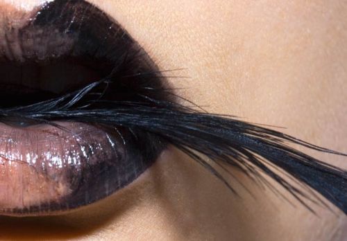 Fotografia de jigsawgabo - Galeria Fotografica: pics - Foto: 