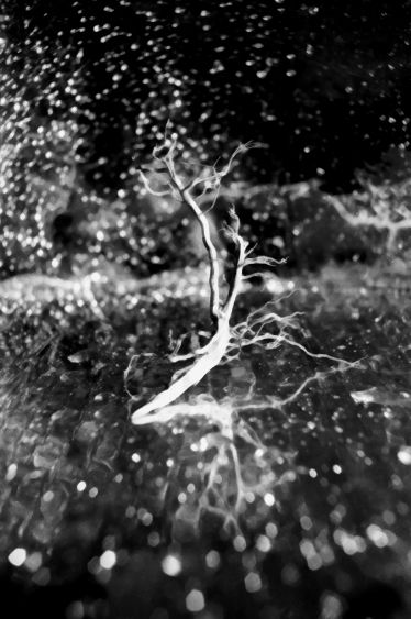 Fotografia de Esteban Ballesteros Burbano - Galeria Fotografica: my work  - Foto: 