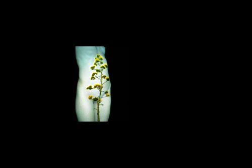 Fotografia de Esteban Ballesteros Burbano - Galeria Fotografica: my work  - Foto: 