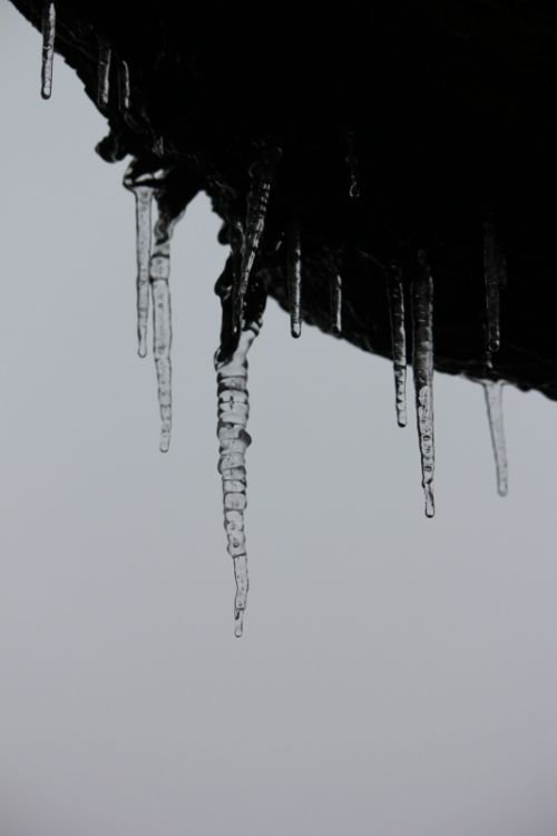 Fotografia de Joseba - Galeria Fotografica: invierno zamorano - Foto: 