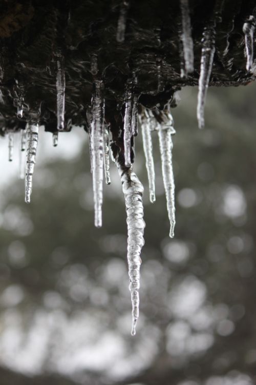 Fotografia de Joseba - Galeria Fotografica: invierno zamorano - Foto: 