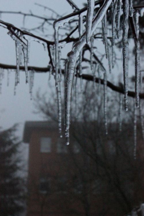 Fotografia de Joseba - Galeria Fotografica: invierno zamorano - Foto: 