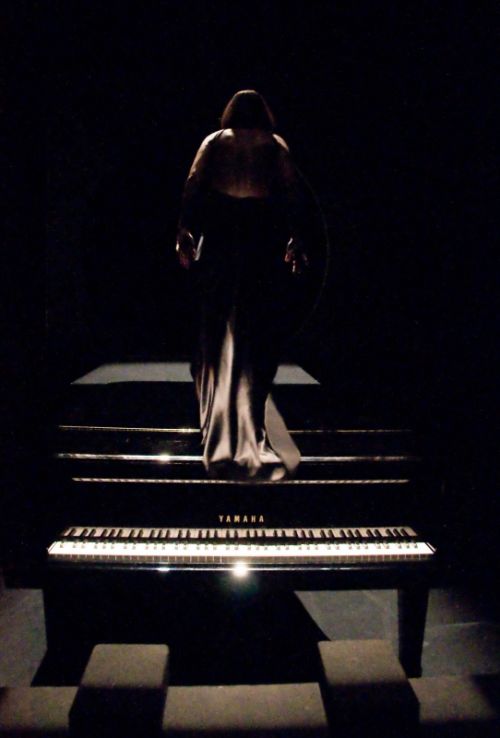 Fotografia de Francesc Meseguer - Galeria Fotografica: Espectculos - Foto: 