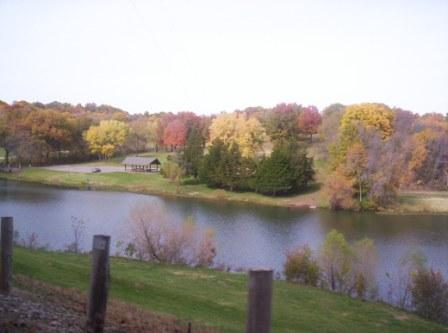 Fotografia de Susy - Galeria Fotografica: Otoo en Kansas - Foto: 