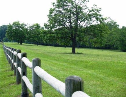 Fotografia de Susy - Galeria Fotografica: Un nuevo sabor - Foto: Nunca....