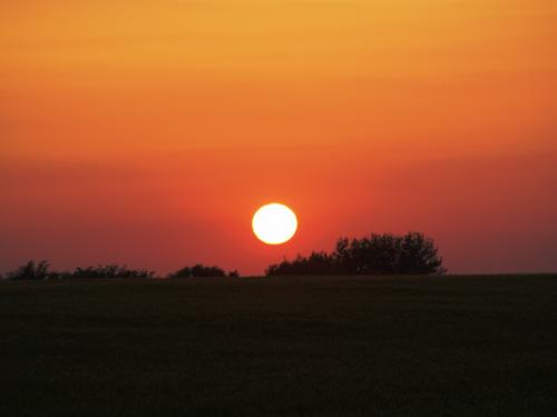 Fotografia de Susy - Galeria Fotografica: Un nuevo sabor - Foto: Rojo