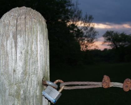 Fotografia de Susy - Galeria Fotografica: Un nuevo sabor - Foto: 