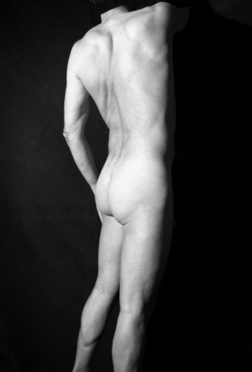 Fotografia de fotovite - Galeria Fotografica: Torsos romanos - Foto: Torso 2