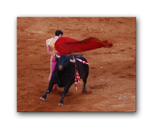 Fotografia de Alcanzarte - Galeria Fotografica: Alcanzarte - Foto: 