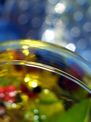 Fotografia de attila - Galeria Fotografica: absolut vodka - Foto: 