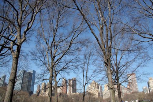 Fotografia de Sonia Castillo - Galeria Fotografica: Nueva York - Foto: 